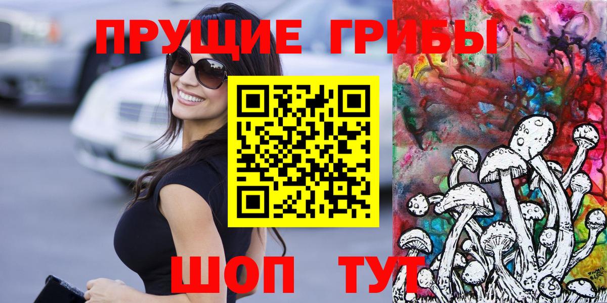 Галлюциногенные грибы Psilocybe Симферополь